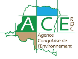 ACE