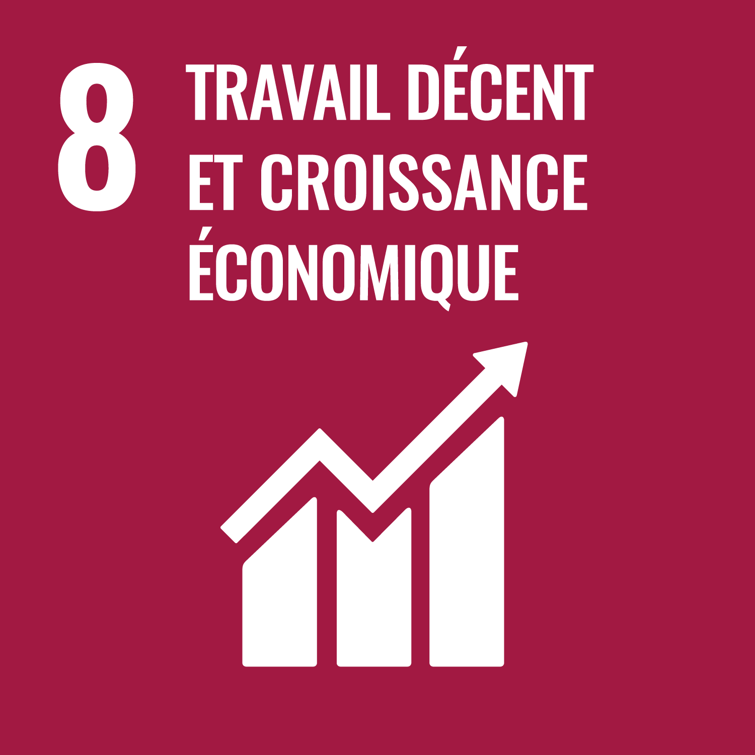 ODD 8 — Travail décent et croissance économique