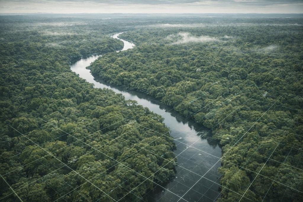 Secteur de l'Environnement